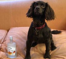 Load image into Gallery viewer, Persie - Spaniel Gin